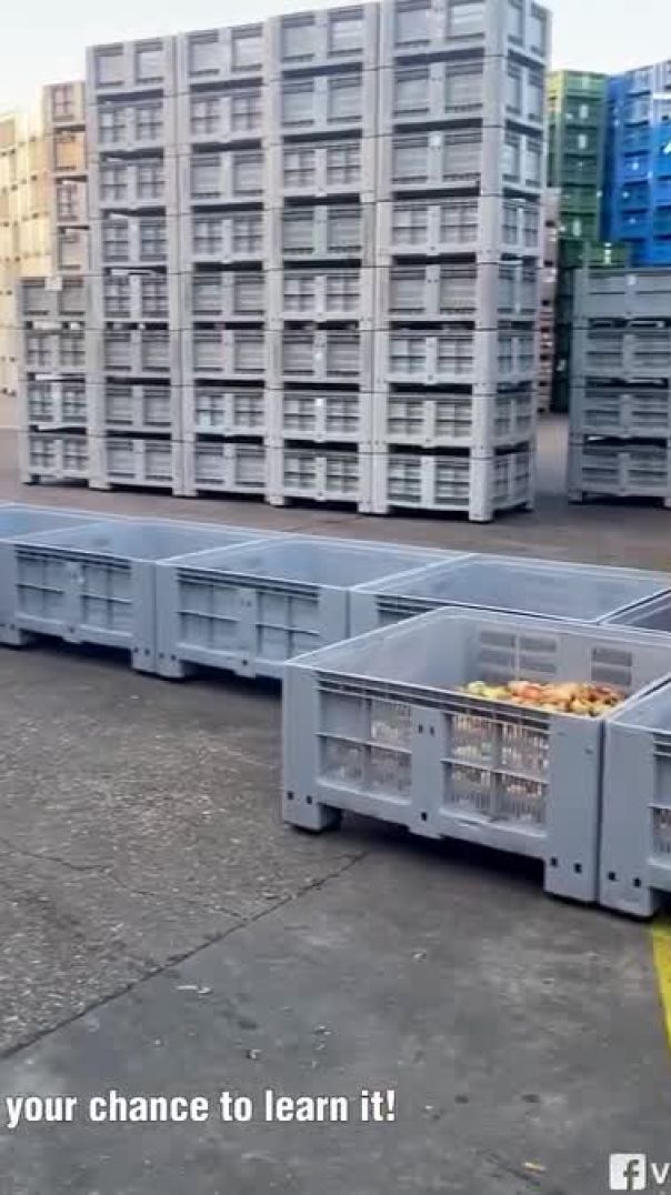 Emptying a truck packed with apples!